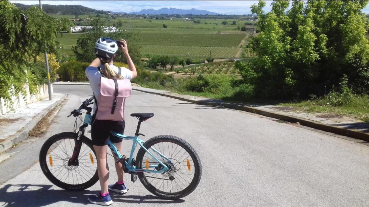 Tina De Vila, En La Capital Del Vino Vilafranca del Penedès Exterior foto